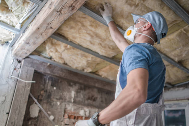 Best Insulation Installation Services in Arnold, PA